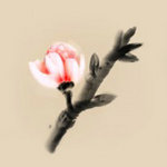 冬蜃楼无限金币版