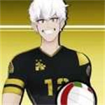 排球高手ios免费版