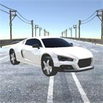 驾驶大师无限金币版