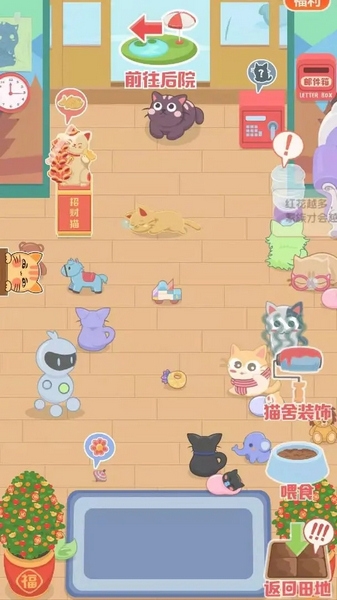 奇妙猫之家图片