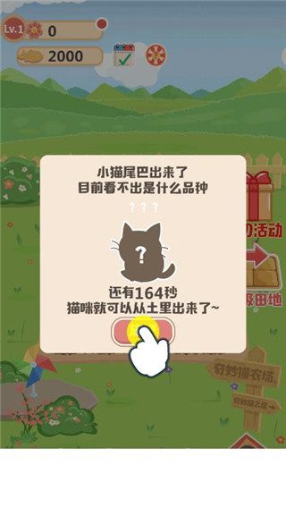 奇妙猫之家游戏玩法图片3