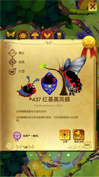 彩翼蝴蝶保护区蝴蝶种类介绍2