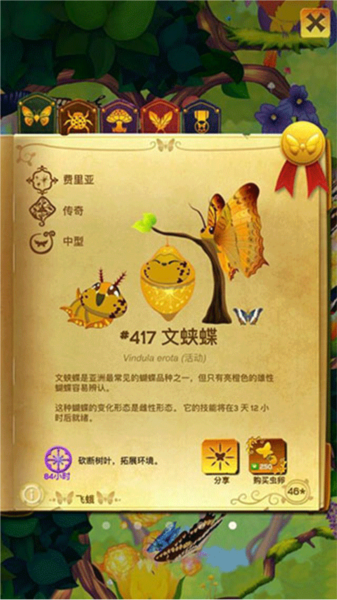 彩翼蝴蝶保护区蝴蝶种类介绍3