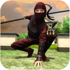 真实忍者模拟器appios下载