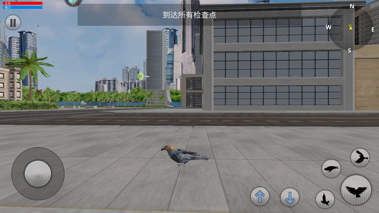 鸽子模拟器官方版