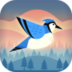 蹦跳小鸟苹果版手机下载