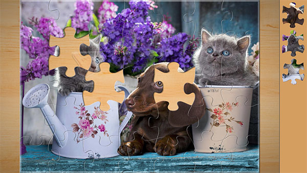 魔法拼图游戏攻略图片2